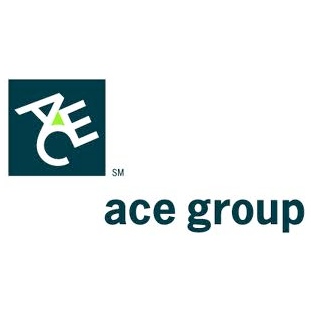 ACE Group profile image