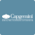 Capgemini Consulting profile image