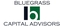 3467-bluegrass-capital-advisors logo