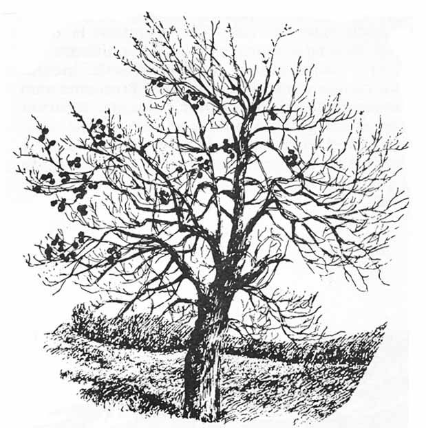 Hampshire County Retirement System profile image