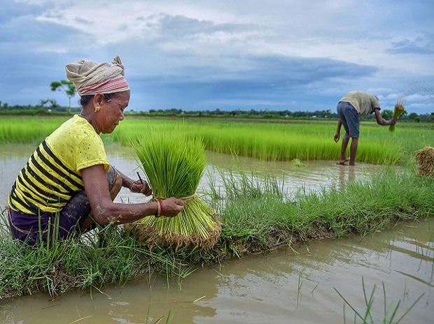 Access here alternative investment news about Agri-tech Startup Aibono Raises Rs 15 Cr For Business Growth, Expansion | Business Standard News