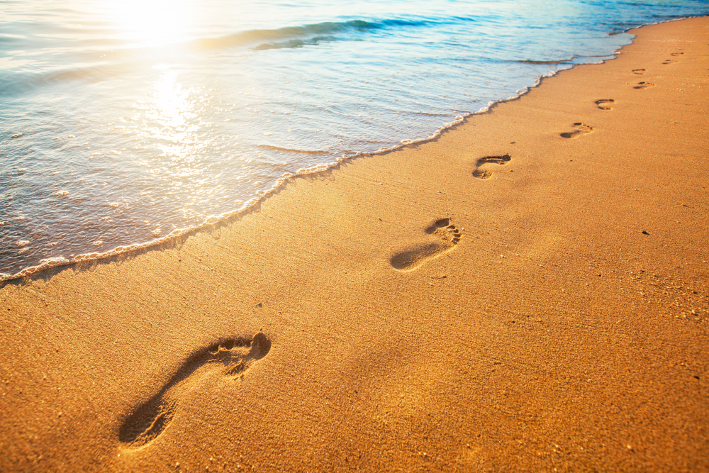 Access here alternative investment news about How To Profit When The Smart Money Leaves Their Footprints