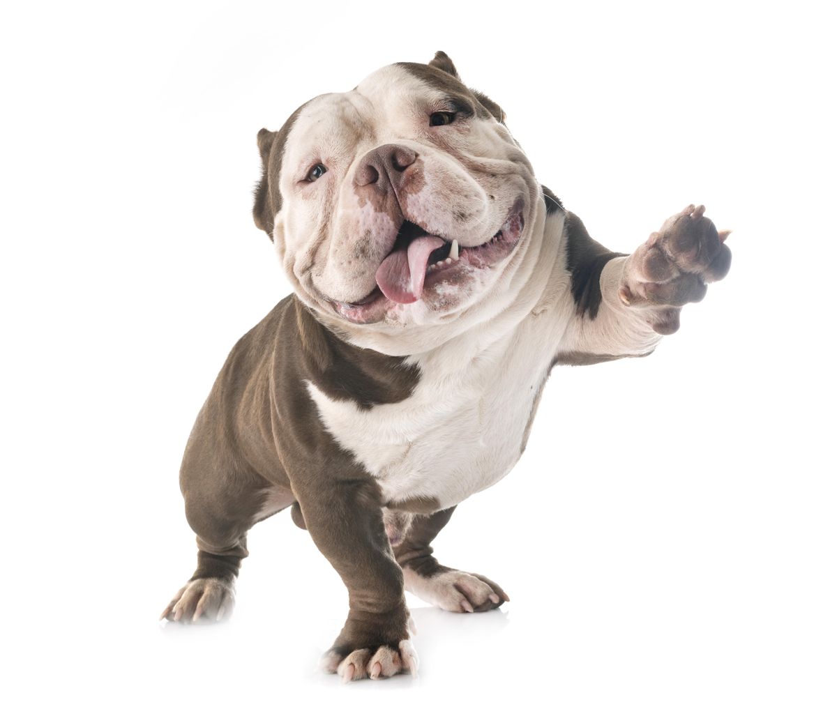 Access here alternative investment news about These Dogs Of The Dow Deliver 5.3%-6.3% Income