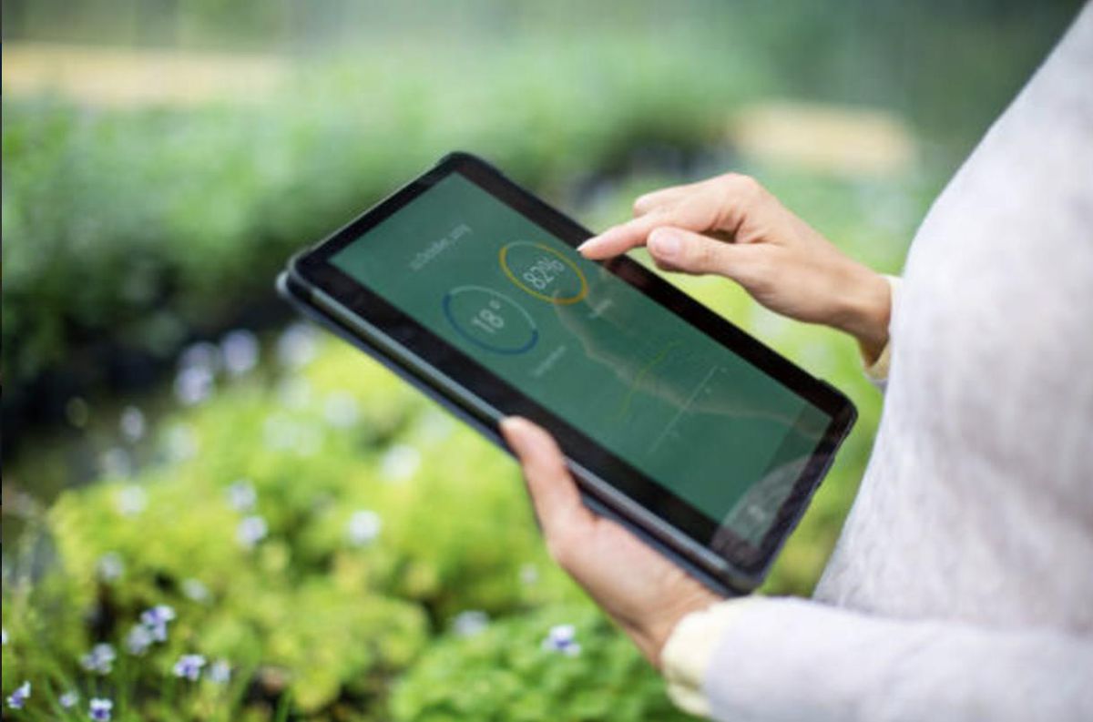 Access here alternative investment news about Synthetic Biology Startups Raised $3.0B In The First Half Of 2020