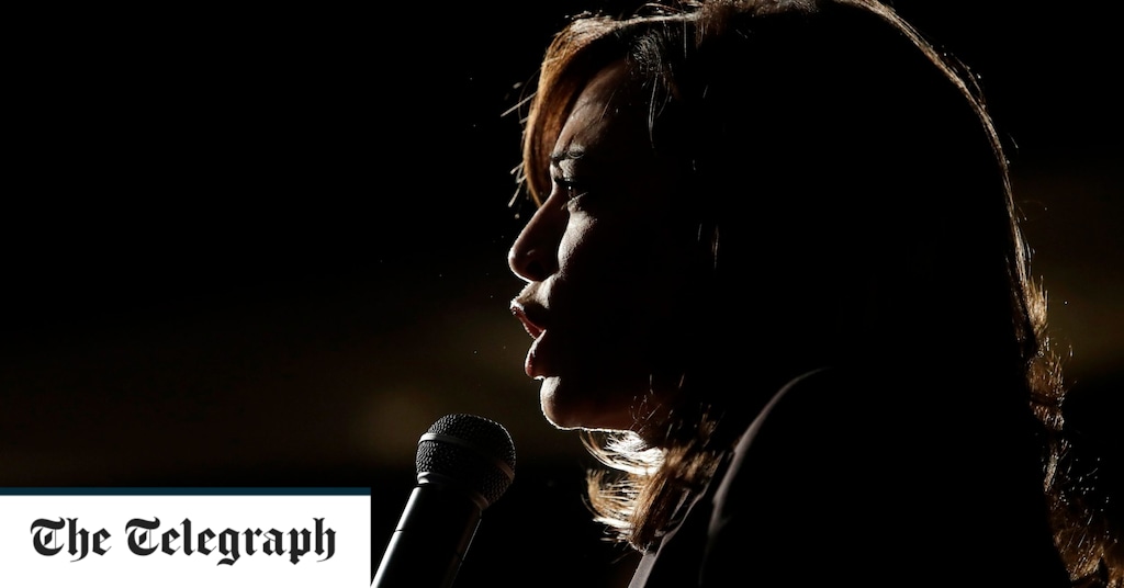 Access here alternative investment news about Kamala Harris: How The Tony Blair Of San Francisco Made Her Name And Became Joe Biden's Vp Pick