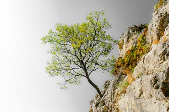 Access here alternative investment news about Aima And Kpmg Survey: Industry Remains Resilient During Pandemic, With Hedge Funds “actively Hiring” Throughout Market Dislocation