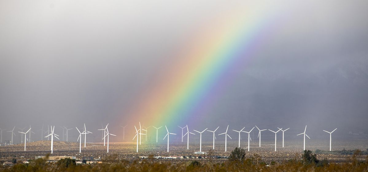 Access here alternative investment news about Varieties Of Capitalism And The Future Of Stakeholder Management
