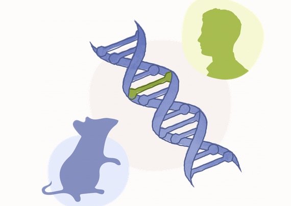 Access here alternative investment news about Chinese Biotech Firm Biocytogen Raises Rmb970 Million – China Money Network