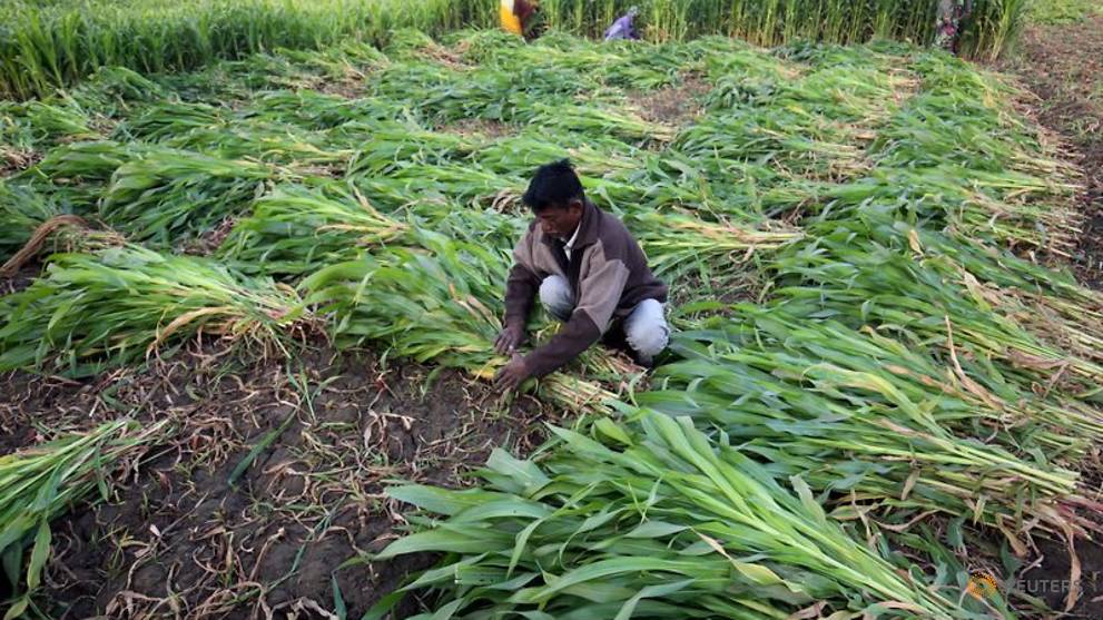 Access here alternative investment news about Analysis: India Startups Seek High-tech Solutions To Colossal Food Waste - Cna