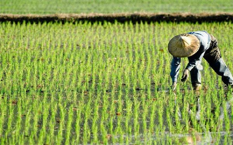 Access here alternative investment news about Agricultural Drone Startup Xag Raises Rmb1.2 Billion – China Money Network