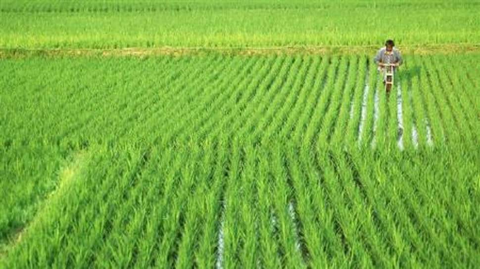 Access here alternative investment news about Union Budget 2021-22: Fm Sitharaman Proposes 9 Measures For Agriculture, Allied Sectors | Economy News | Zee News