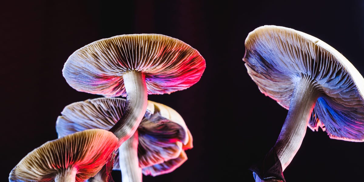 Access here alternative investment news about Psychedelics Company Atai Raises $157 Million, Breaking Industry Record