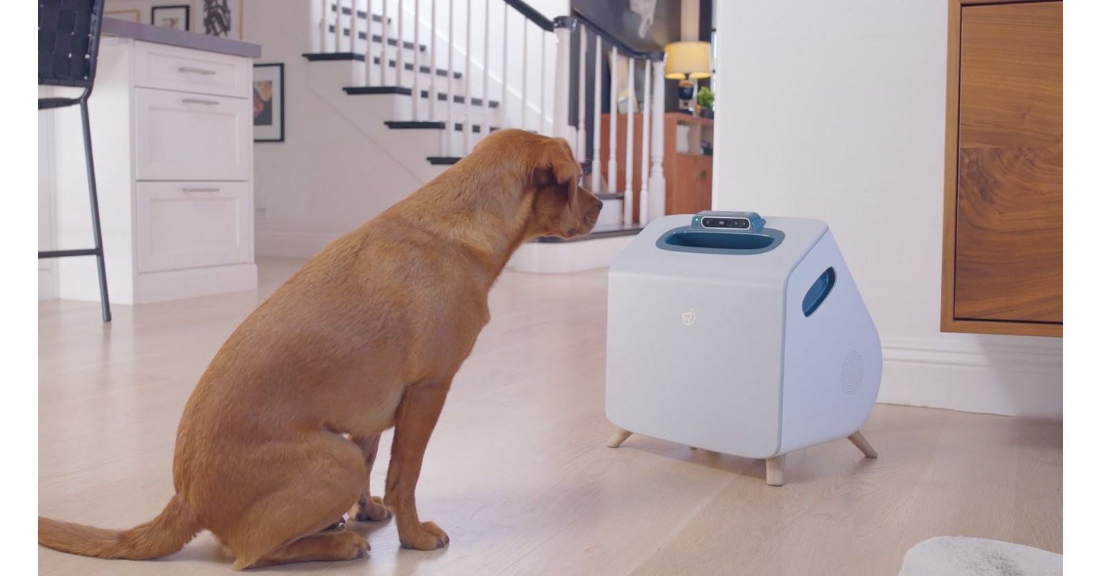 Access here alternative investment news about Companion Raises $8M Seed Round To Use Machine Learning And Computer Vision To Talk To Dogs