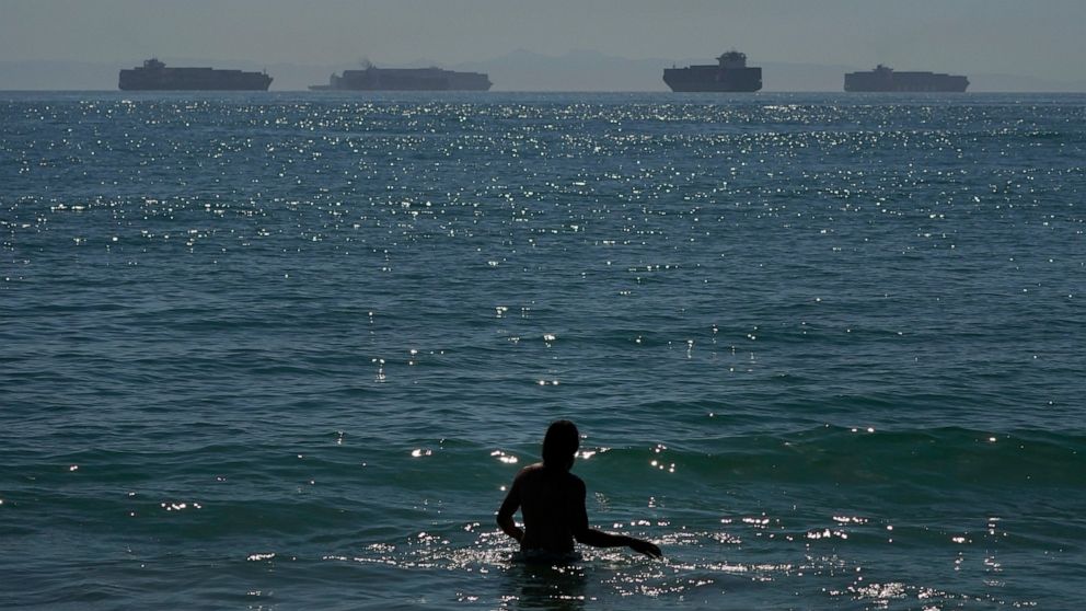 Access here alternative investment news about Supply Chain Delays Disrupt California Agriculture Exports